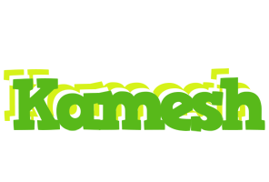 Kamesh picnic logo