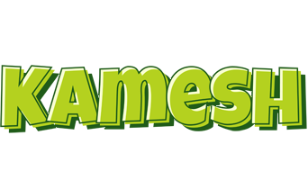 Kamesh summer logo