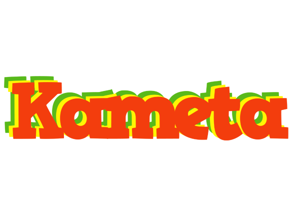 Kameta bbq logo