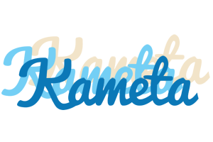 Kameta breeze logo