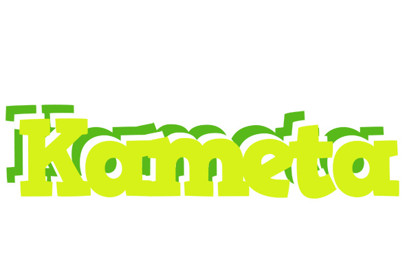 Kameta citrus logo