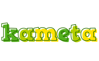 Kameta juice logo