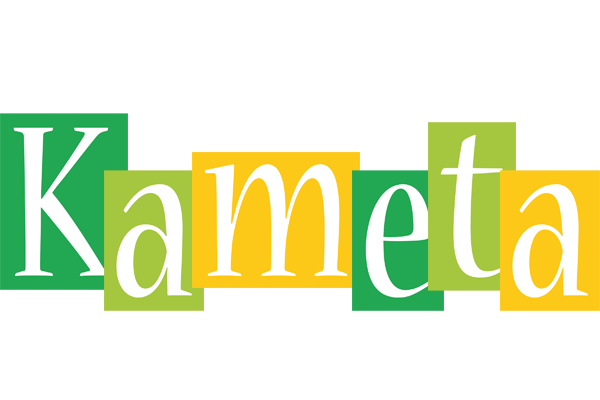 Kameta lemonade logo