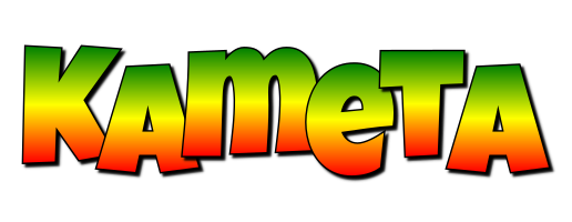 Kameta mango logo