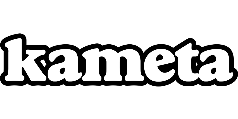 Kameta panda logo