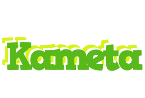 Kameta picnic logo