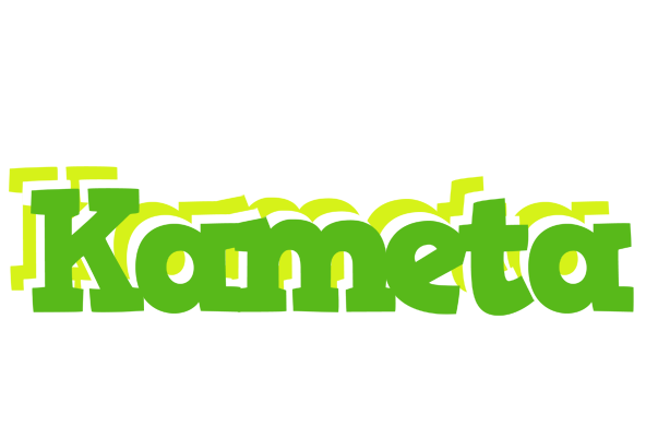 Kameta picnic logo