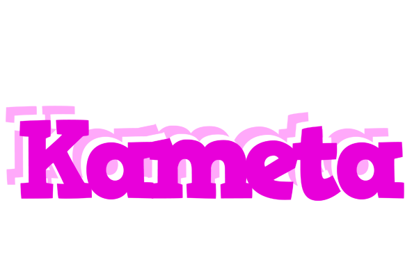 Kameta rumba logo