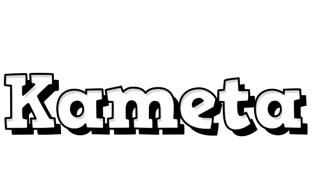 Kameta snowing logo