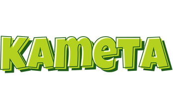 Kameta summer logo