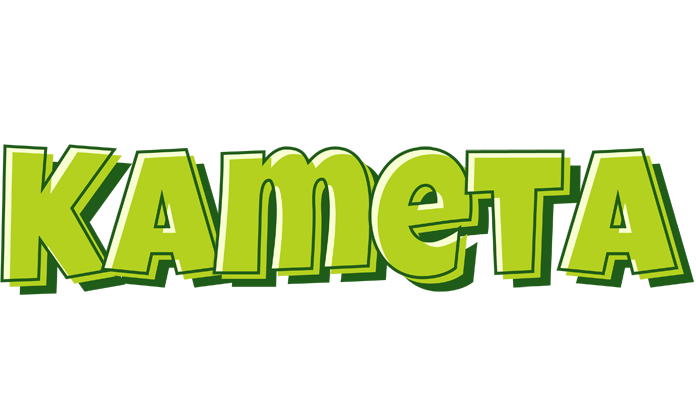 Kameta summer logo