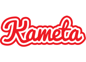 Kameta sunshine logo