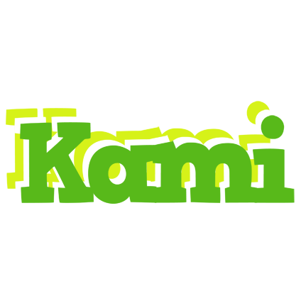 Kami picnic logo