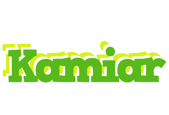 Kamiar picnic logo