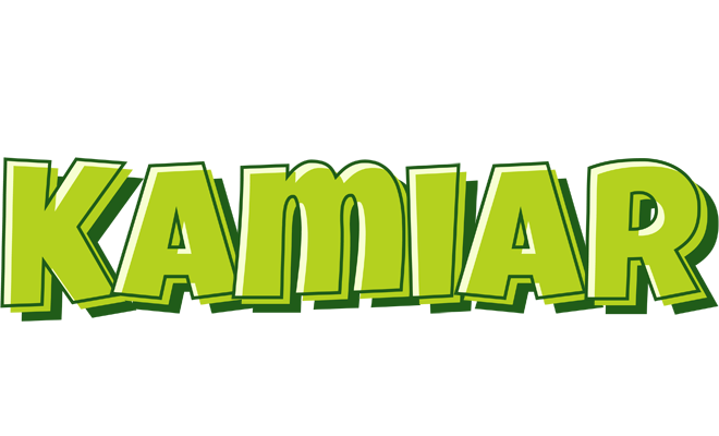 Kamiar summer logo