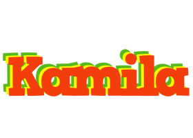 Kamila bbq logo