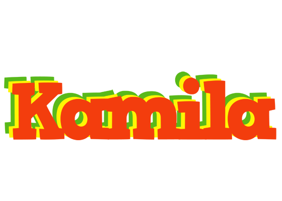 Kamila bbq logo