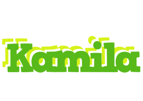 Kamila picnic logo