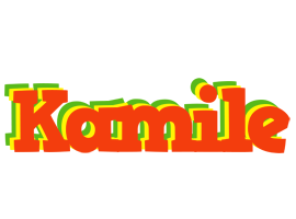 Kamile bbq logo