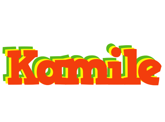 Kamile bbq logo