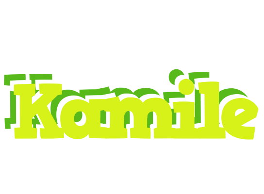 Kamile citrus logo