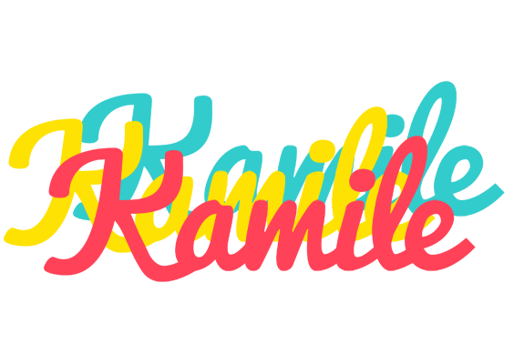 Kamile disco logo