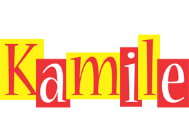 Kamile errors logo