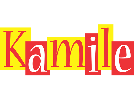 Kamile errors logo