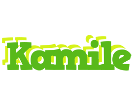 Kamile picnic logo