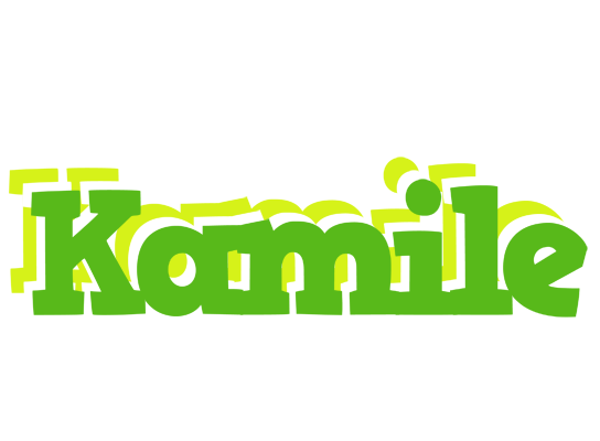 Kamile picnic logo