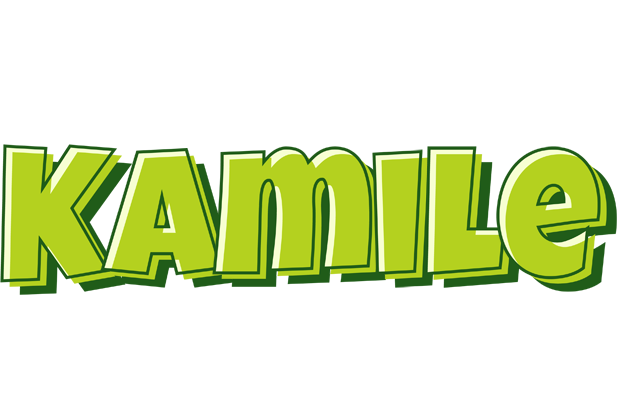 Kamile summer logo