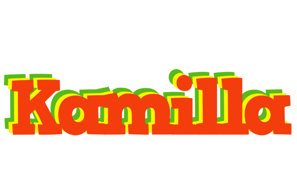 Kamilla bbq logo