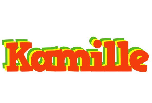 Kamille bbq logo