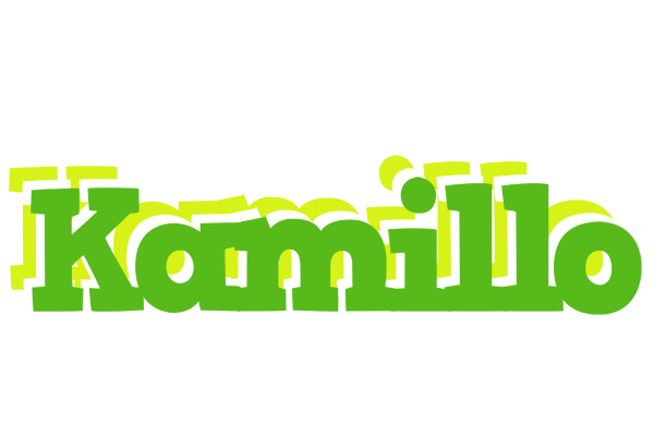 Kamillo picnic logo