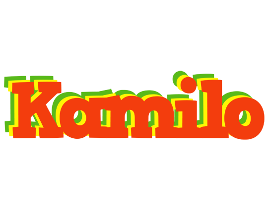 Kamilo bbq logo