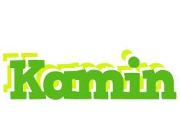 Kamin picnic logo