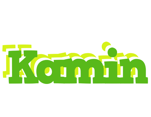 Kamin picnic logo
