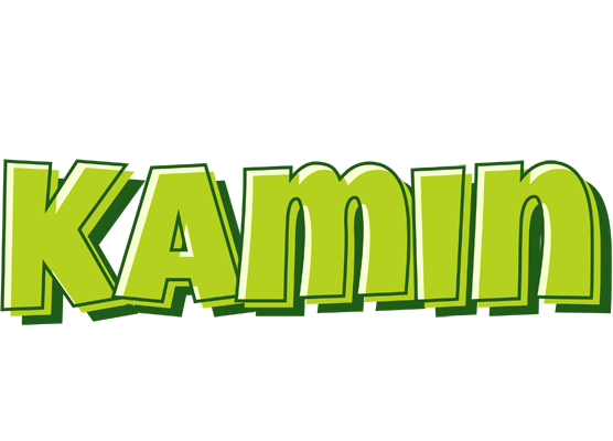 Kamin summer logo