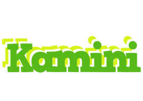 Kamini picnic logo