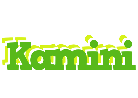 Kamini picnic logo