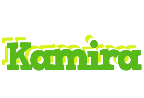 Kamira picnic logo