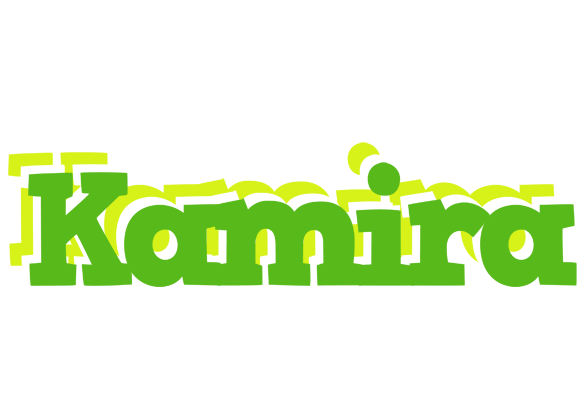 Kamira picnic logo