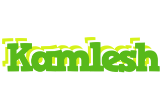 Kamlesh picnic logo