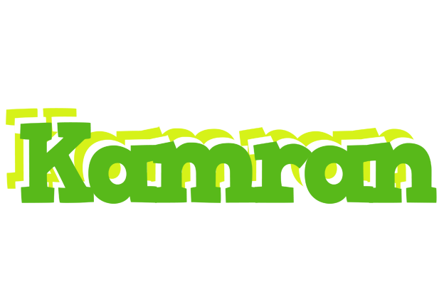 Kamran picnic logo
