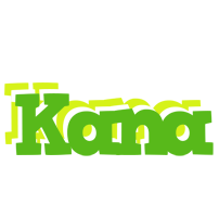 Kana picnic logo