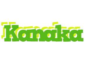 Kanaka picnic logo