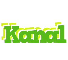 Kanal picnic logo