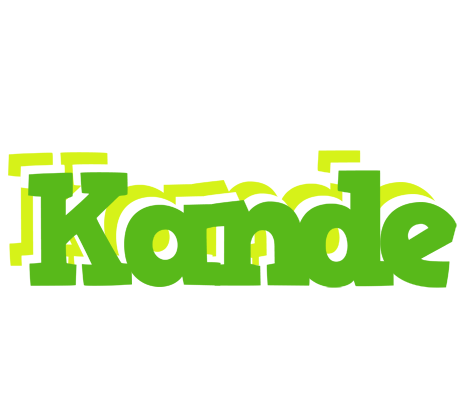 Kande picnic logo