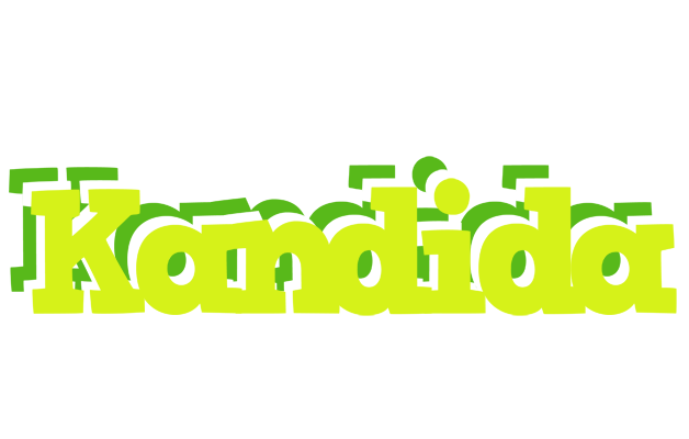 Kandida citrus logo