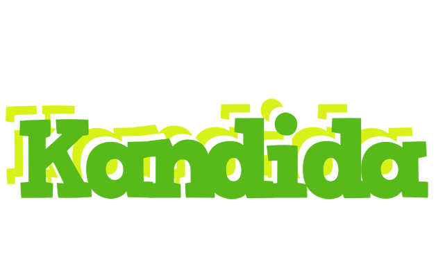 Kandida picnic logo